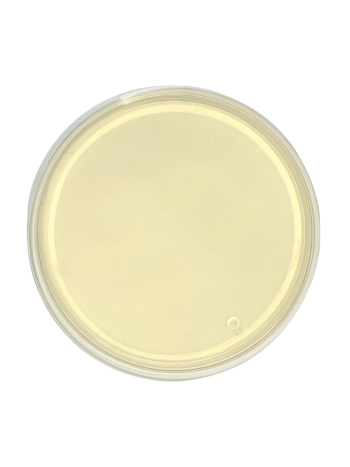 Agar Mueller Hinton pqt 10 placas de 90x15 mm