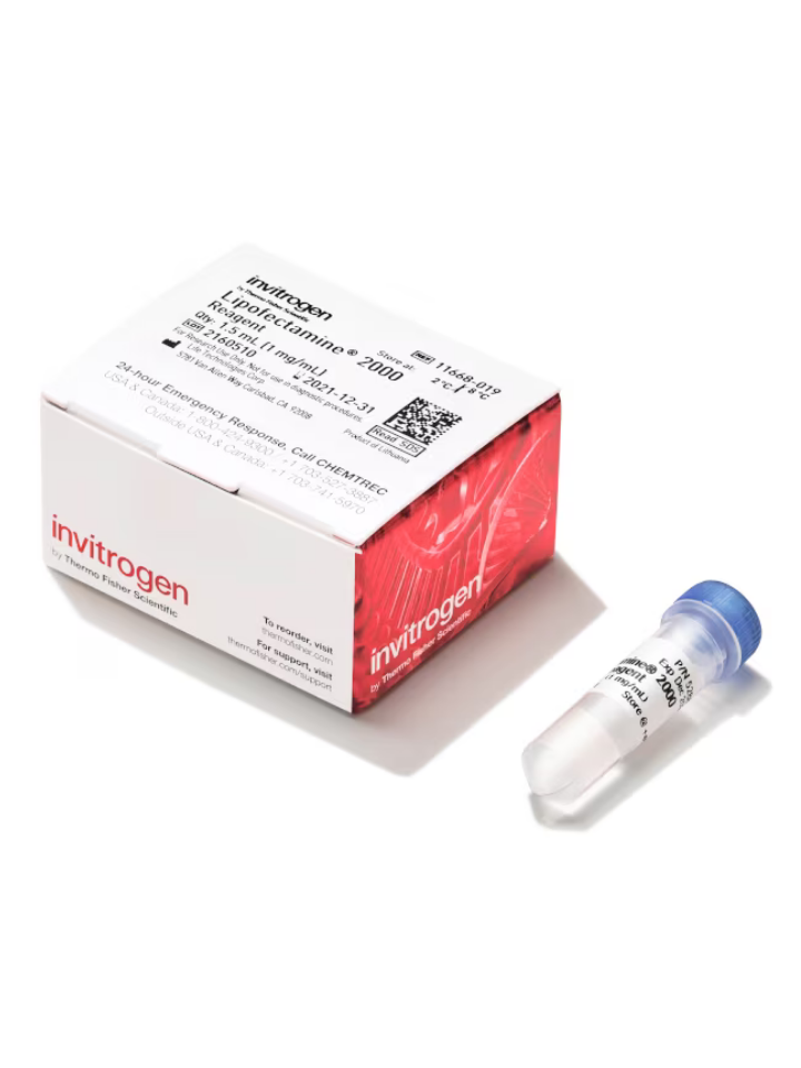 Reactivo para transfección Lipofectamine 2000. 1.5 mL