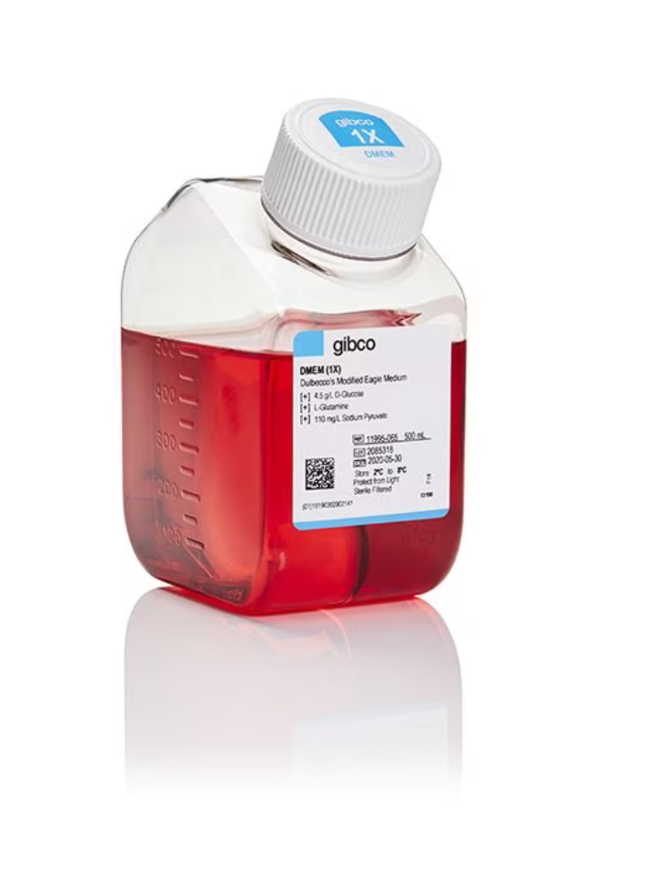 DMEM alto contenido en glucosa y piruvato 500 mL