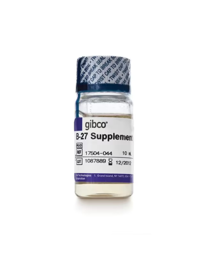 Suplemento B-27 50x sin suero 10 ml