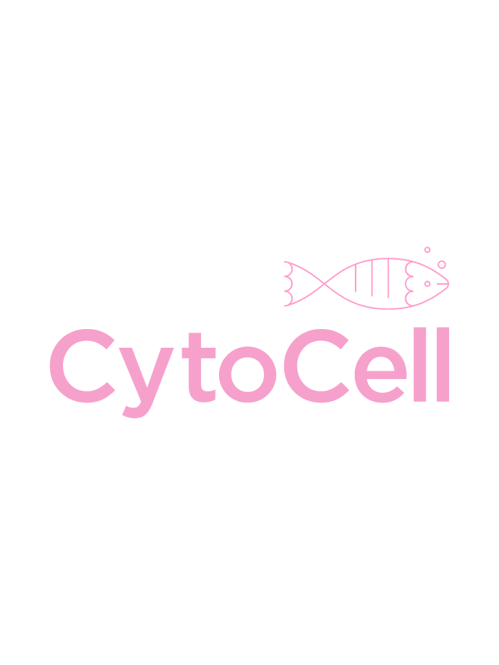 Sonda  para Amplificacion-Deleción CKS1B-CDKN2C (P18). Prueba de 10 tests. Incluye DAPI